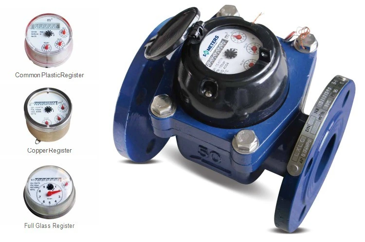 woltman water meter and register